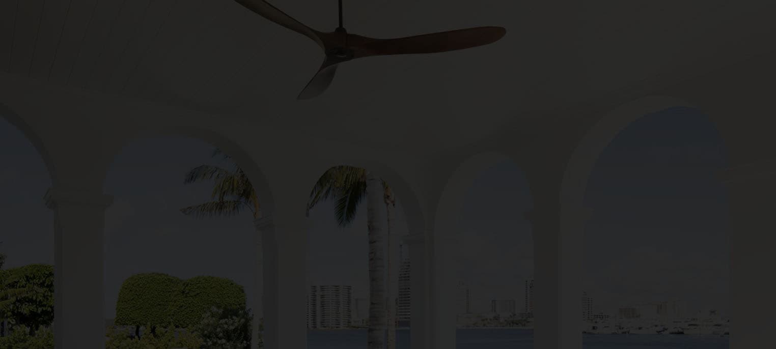 Monte Carlo Fan
